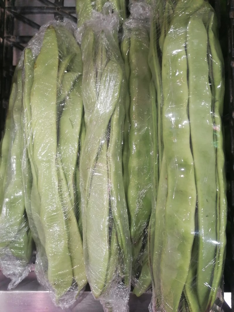 商河扁青芸豆