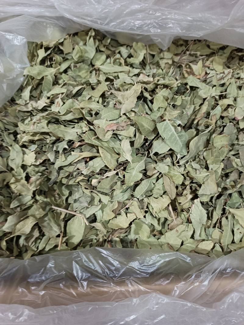 薏米薏米仁各种养生花中药材批发地道药材诚信经营
