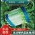 红尖叶莴苣√质量保证√安徽宿州周亚来果蔬欢迎您√