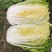娃娃菜，横州娃娃菜精品大娃娃菜