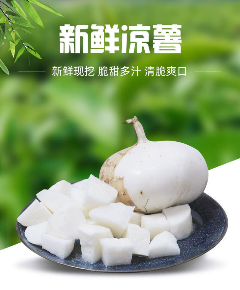 【包邮-10斤凉薯】热销5斤10斤新鲜凉薯豆薯