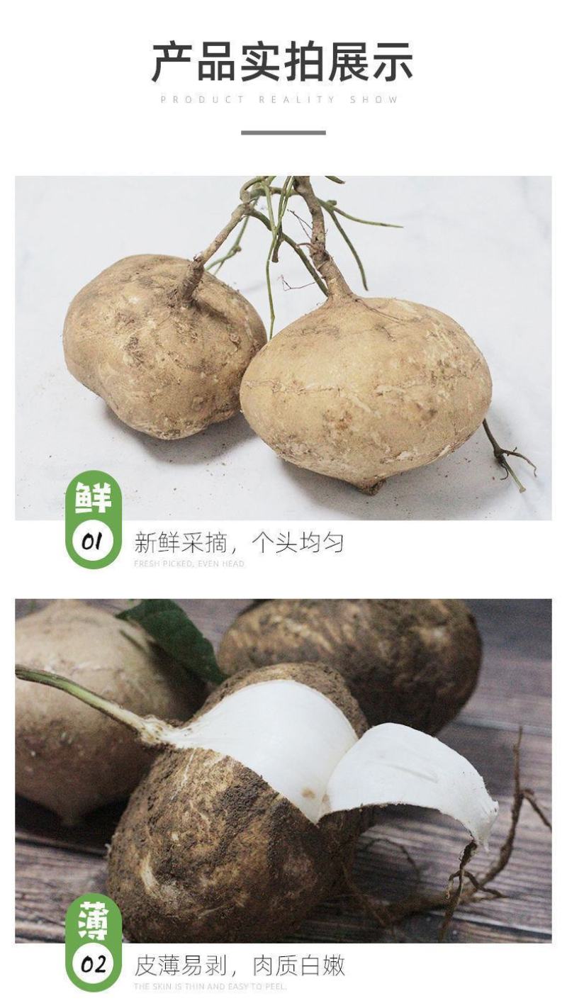 【包邮-10斤凉薯】热销5斤10斤新鲜凉薯豆薯