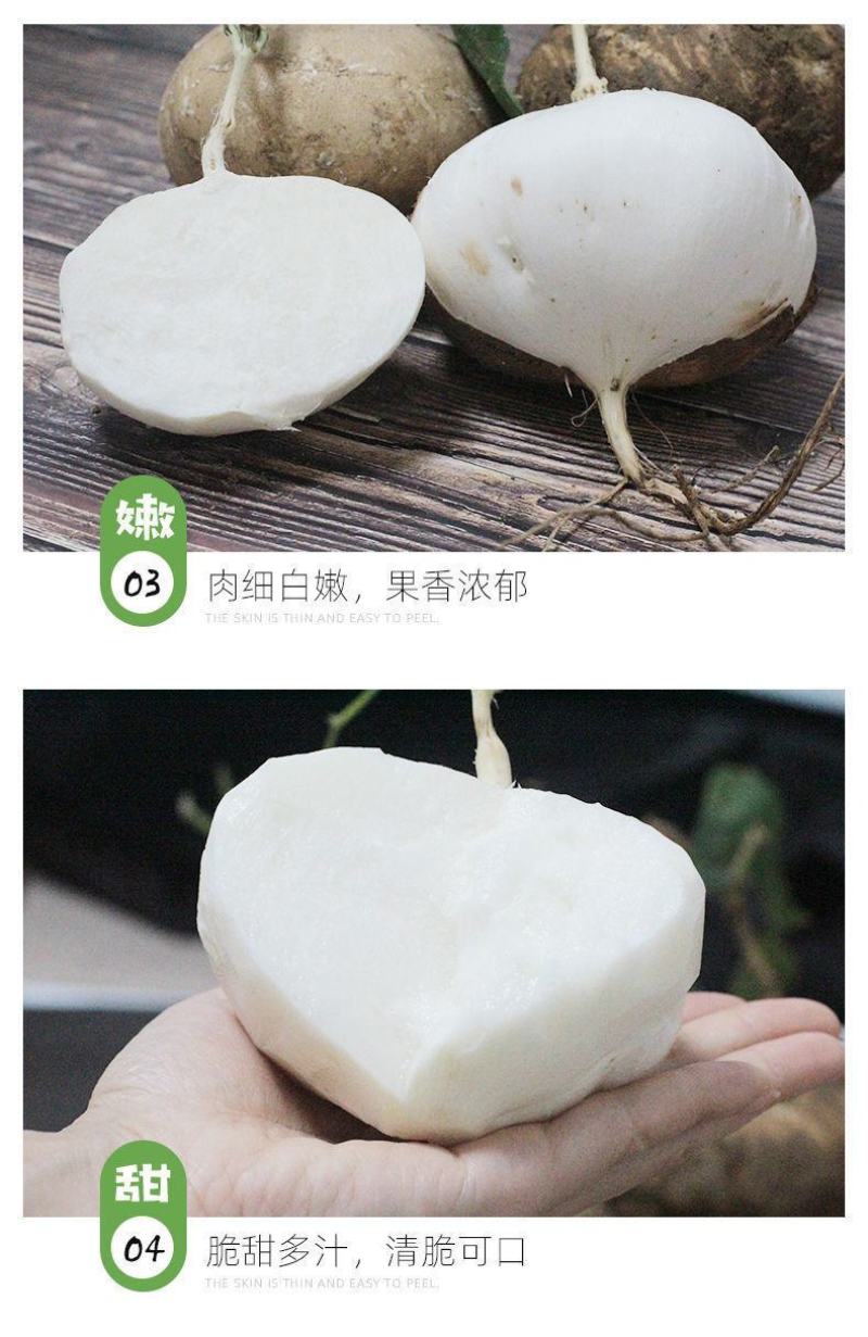 【包邮-10斤凉薯】热销5斤10斤新鲜凉薯豆薯