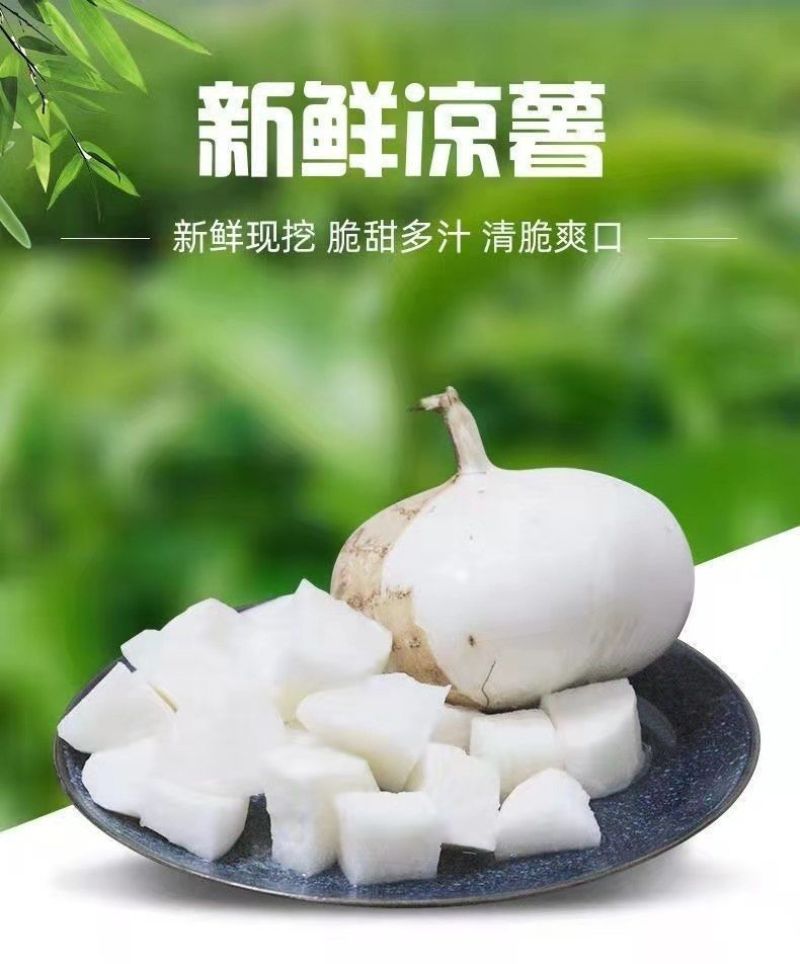 【时令孕妇水果】农家新鲜凉薯地瓜现挖白地瓜沙葛地萝卜脆甜