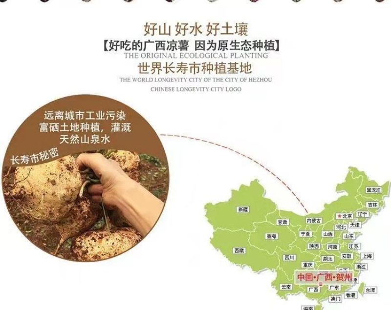 【时令孕妇水果】农家新鲜凉薯地瓜现挖白地瓜沙葛地萝卜脆甜