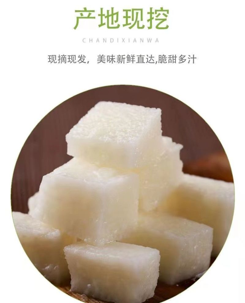 【时令孕妇水果】农家新鲜凉薯地瓜现挖白地瓜沙葛地萝卜脆甜