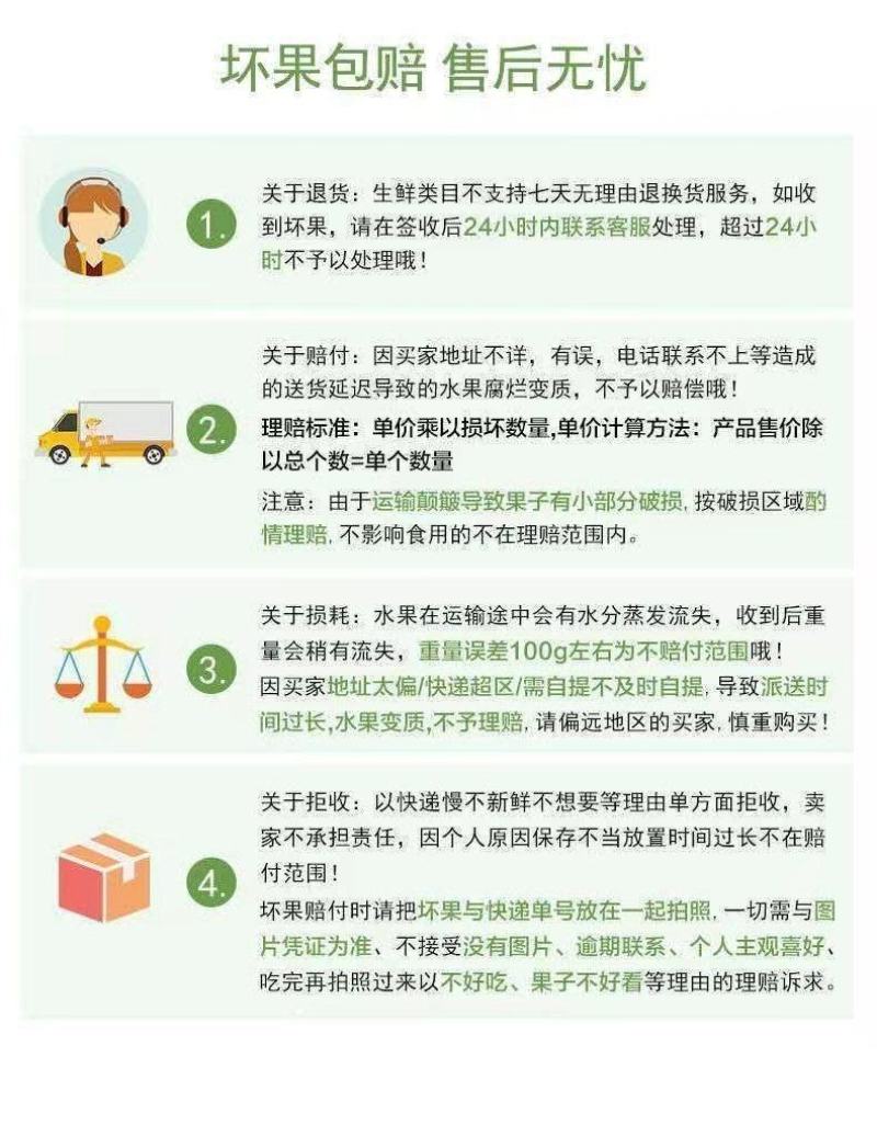 【时令孕妇水果】农家新鲜凉薯地瓜现挖白地瓜沙葛地萝卜脆甜