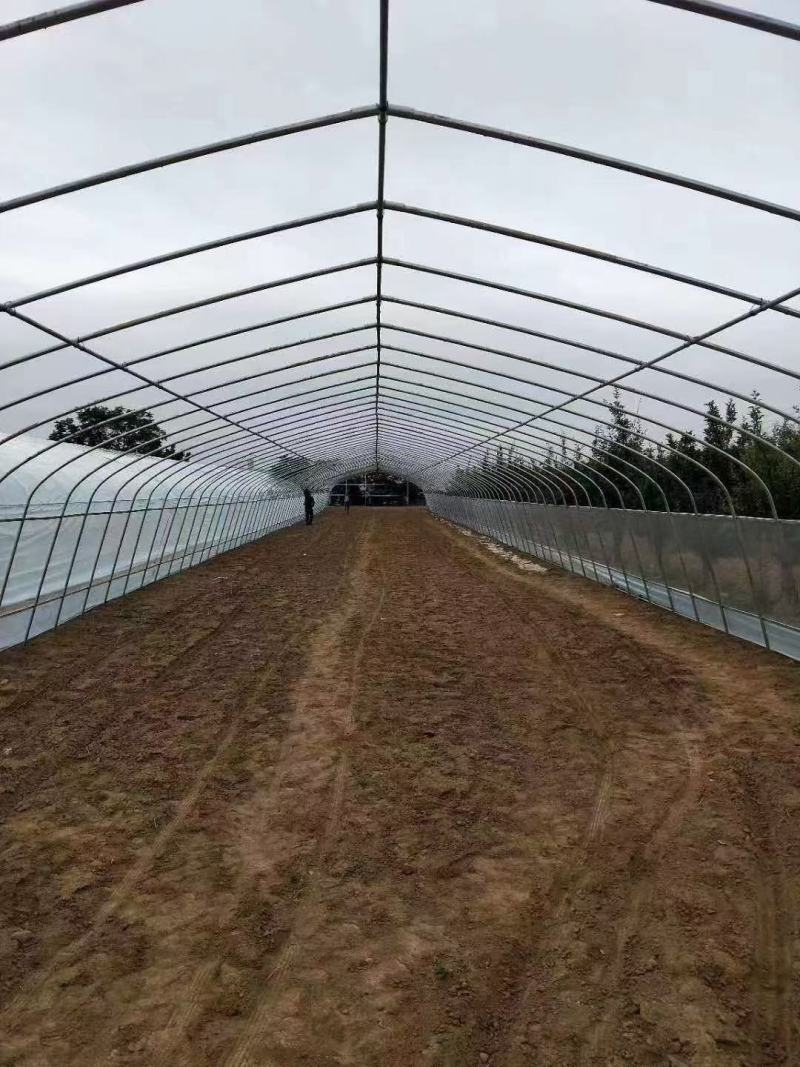 蔬菜大棚，养殖大棚，钢管大棚，椭圆管大棚