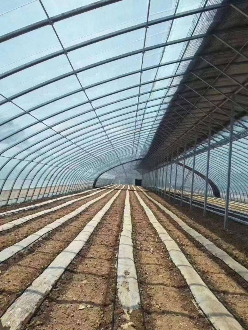 蔬菜大棚，养殖大棚，钢管大棚，椭圆管大棚
