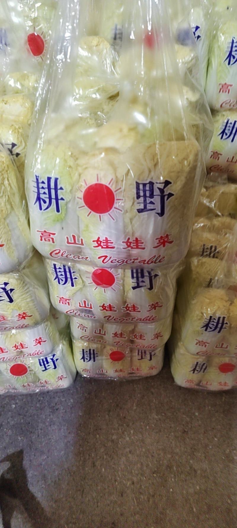 河北邯郸精品娃娃菜，质量保证，货源充足，诚信代办。