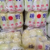 河北邯郸精品娃娃菜，质量保证，货源充足，诚信代办。