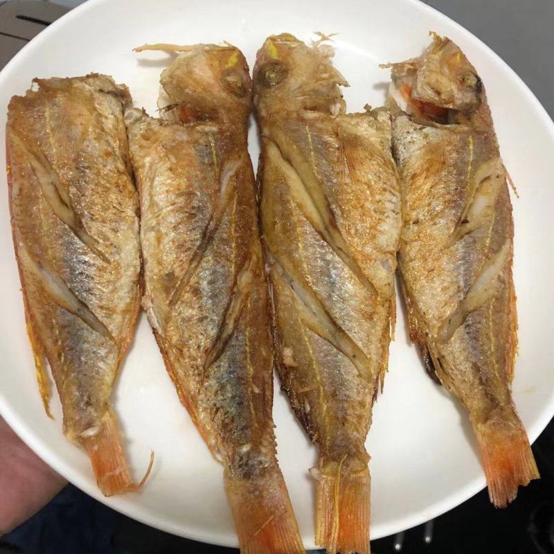 单冻金丝鱼，价格连美，品质优美，大众化适用