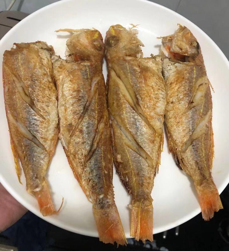 单冻金丝鱼，价格连美，品质优美，大众化适用