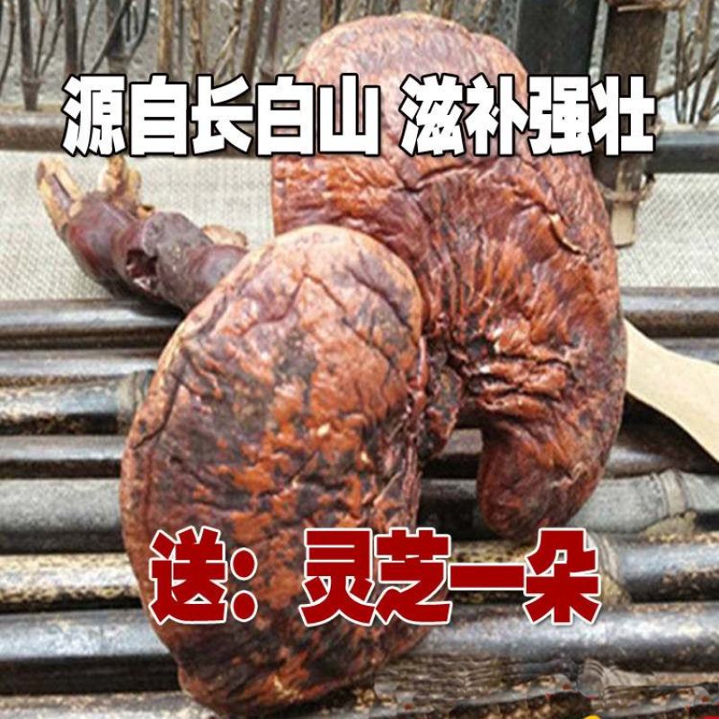 泡酒料泡酒药材男性持久滋补养生人参玛卡泡酒材料中药材灵芝