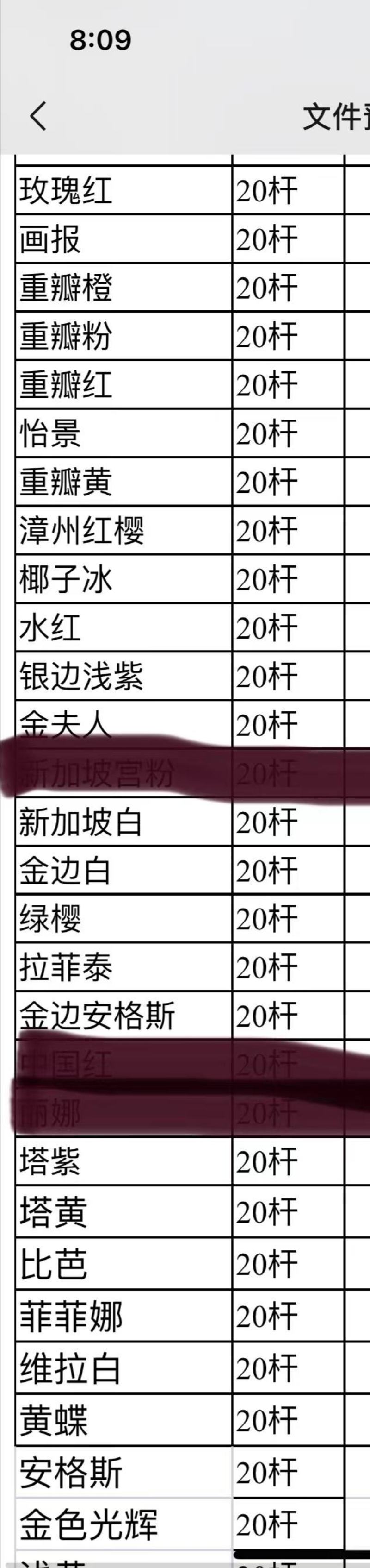 50多个三角梅品种苗