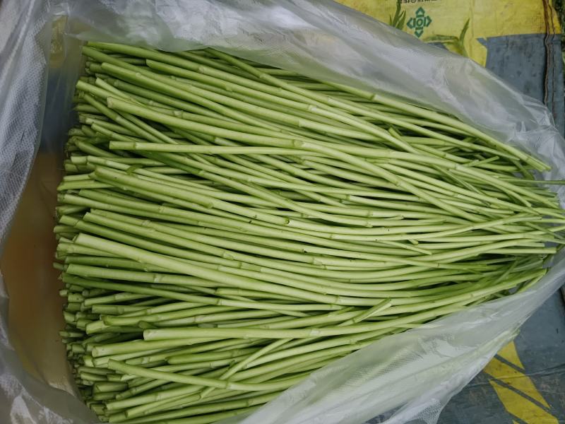 二茬芦蒿，自产自销，