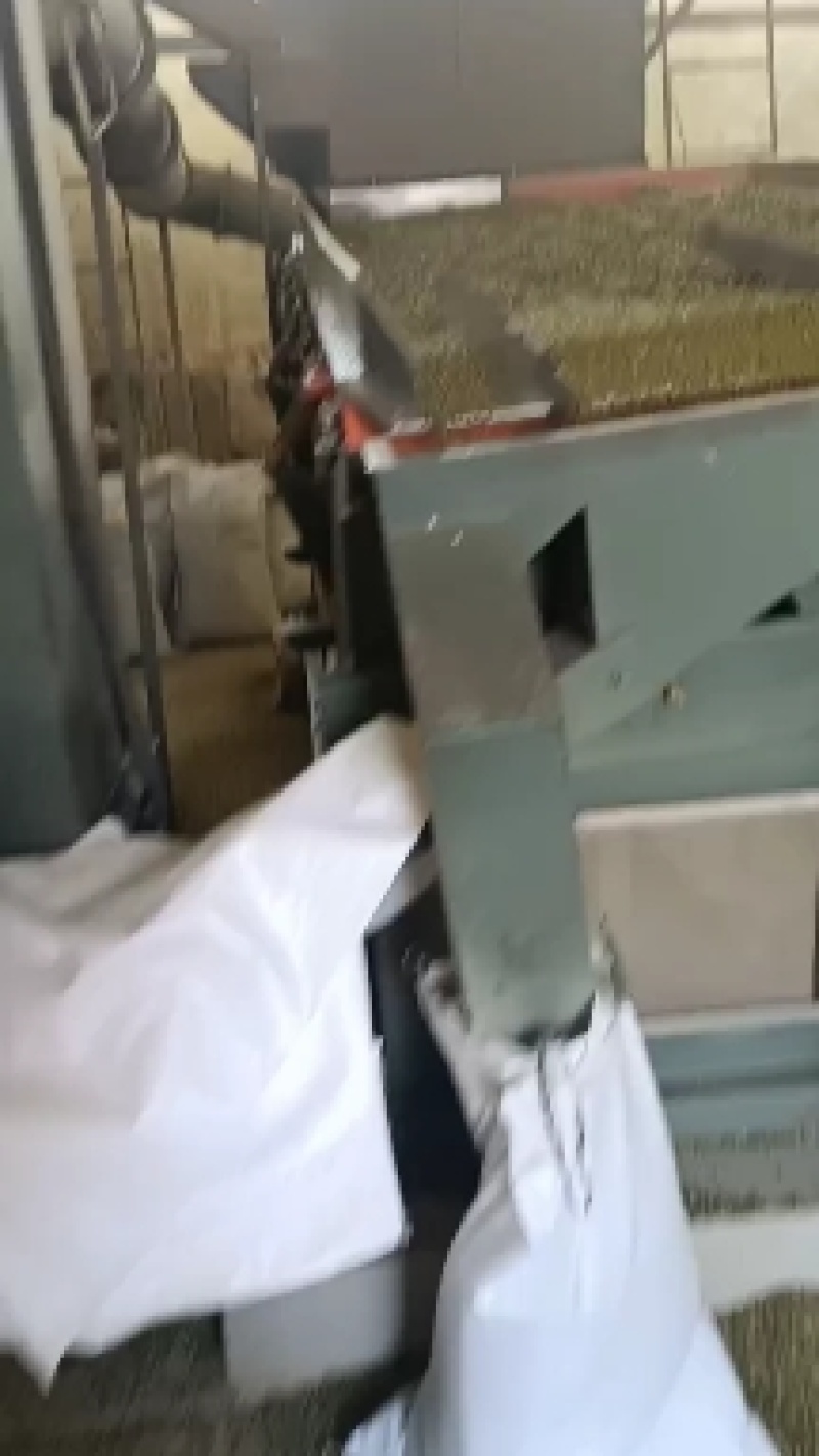 黑豆，小扁黑豆，芽豆黑豆，所有商品不包邮！物流发货！