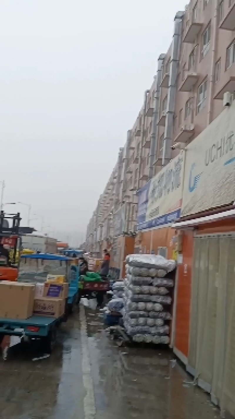 黑豆，小扁黑豆，芽豆黑豆，所有商品不包邮！物流发货！