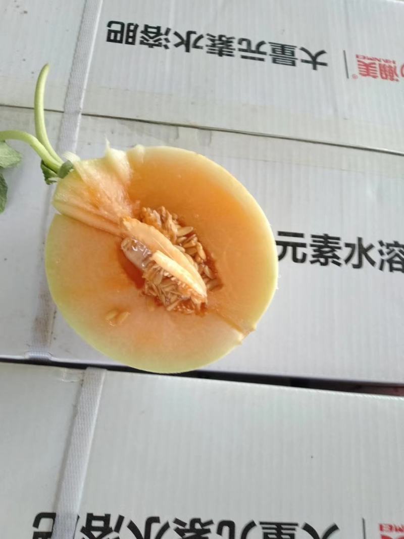 精品甜红玉大量上市，口感好，甜度高，个头均匀，皮面干净