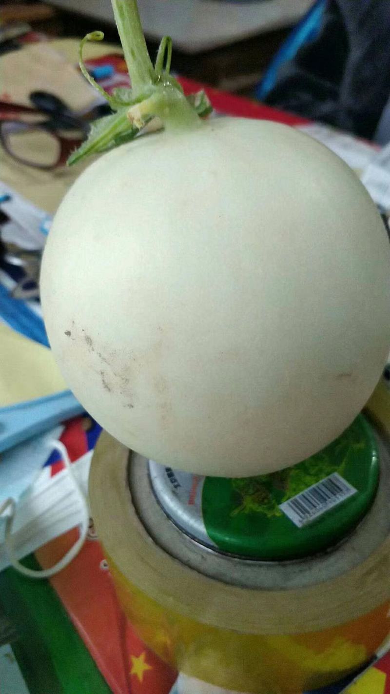 精品甜红玉大量上市，口感好，甜度高，个头均匀，皮面干净