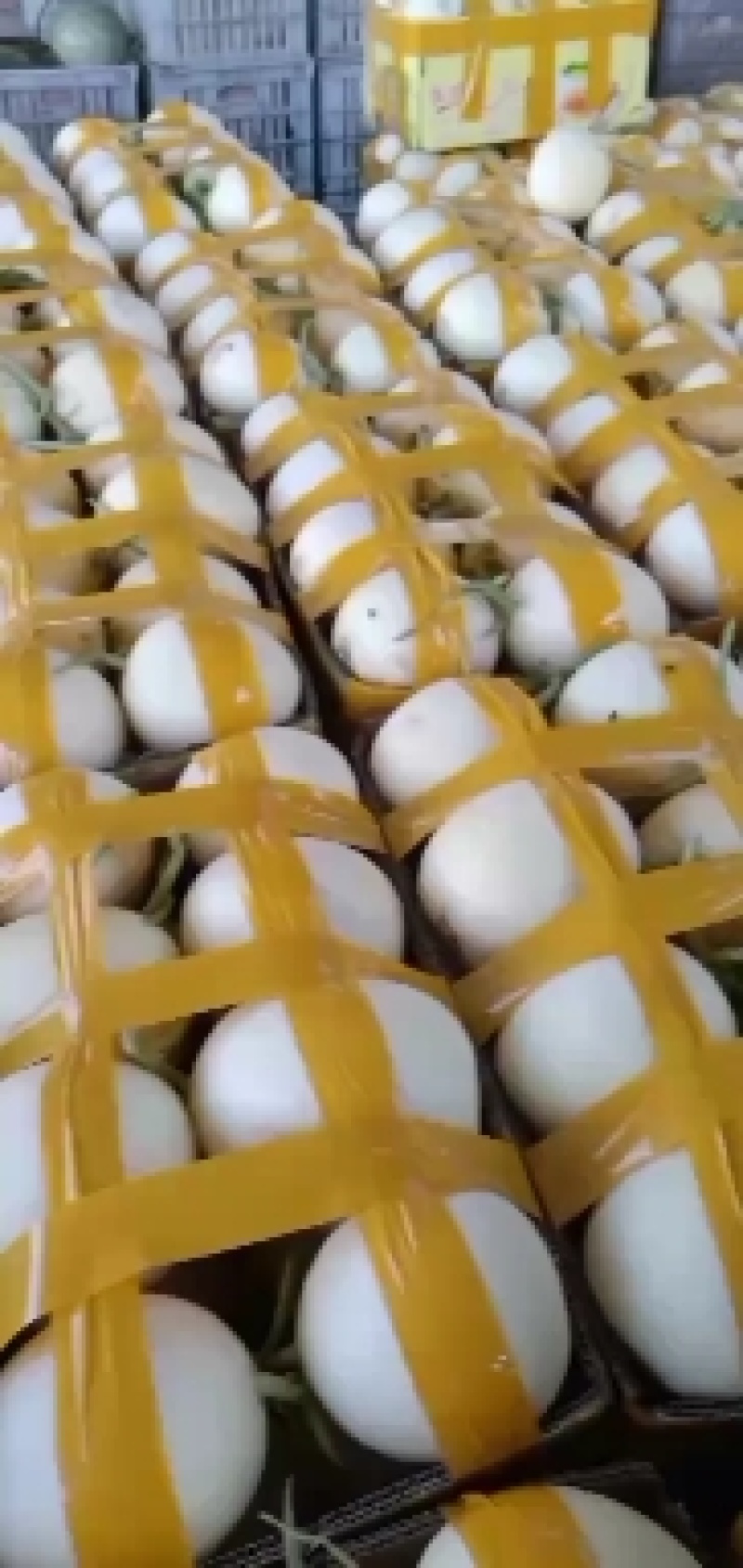 精品甜红玉大量上市，口感好，甜度高，个头均匀，皮面干净