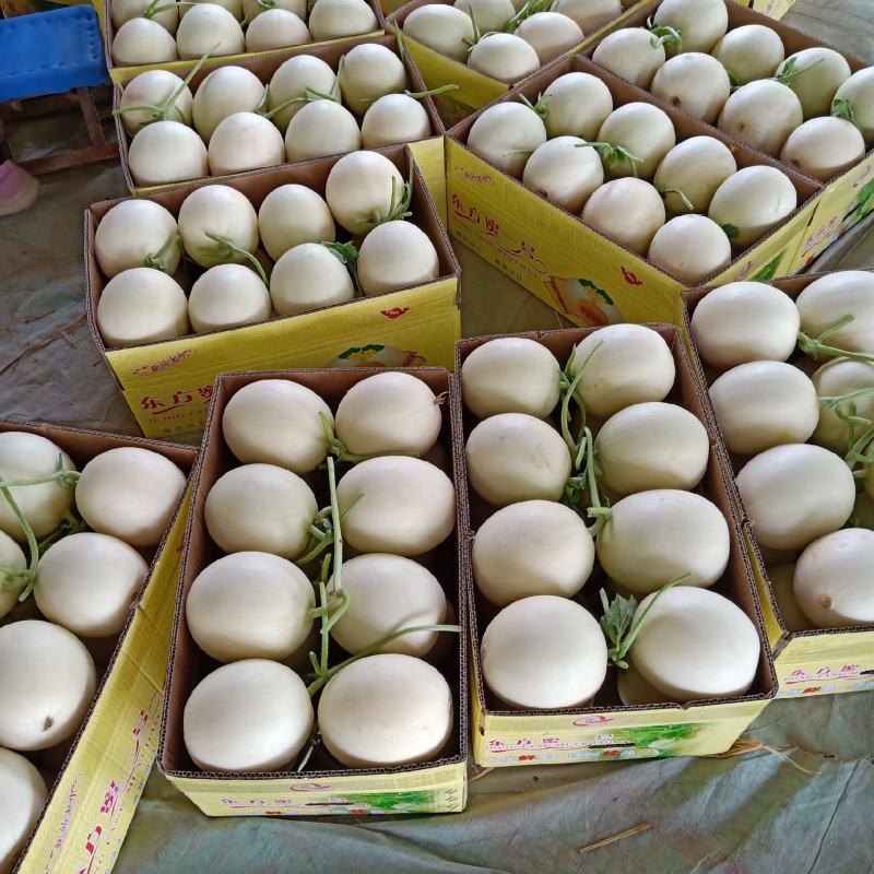 精品甜红玉大量上市，口感好，甜度高，个头均匀，皮面干净