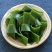 盐渍海带结厚实海带结凉拌炖肉海带结鲜海带结5斤装包邮