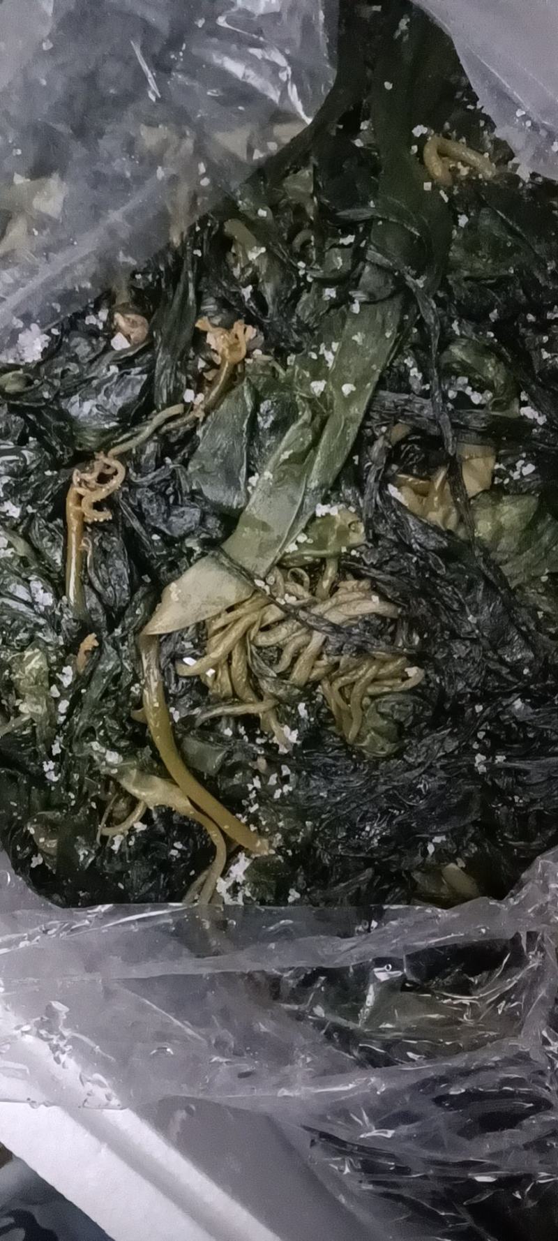 裙带菜真空包装海带苗批发售卖量大从优质量保障，可代发