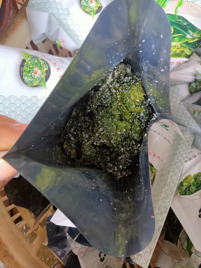 裙带菜真空包装海带苗批发售卖量大从优质量保障，可代发