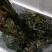 裙带菜真空包装海带苗批发售卖量大从优质量保障，可代发