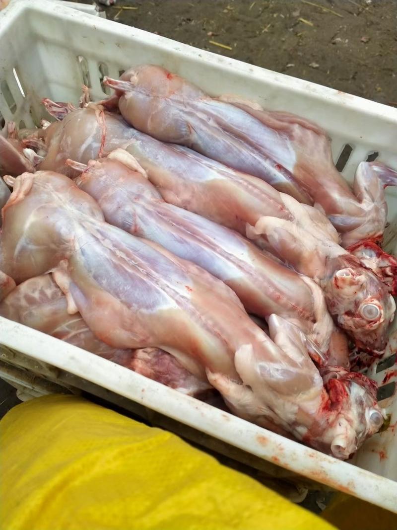 兔肉纯粮食养殖要想瘦吃兔肉要想健康喝兔烫