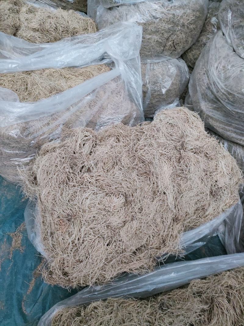 优选东北白薇种子保质保量大量有货欢迎选购