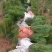 山东油松小苗油松规格齐全产地直销全国发货