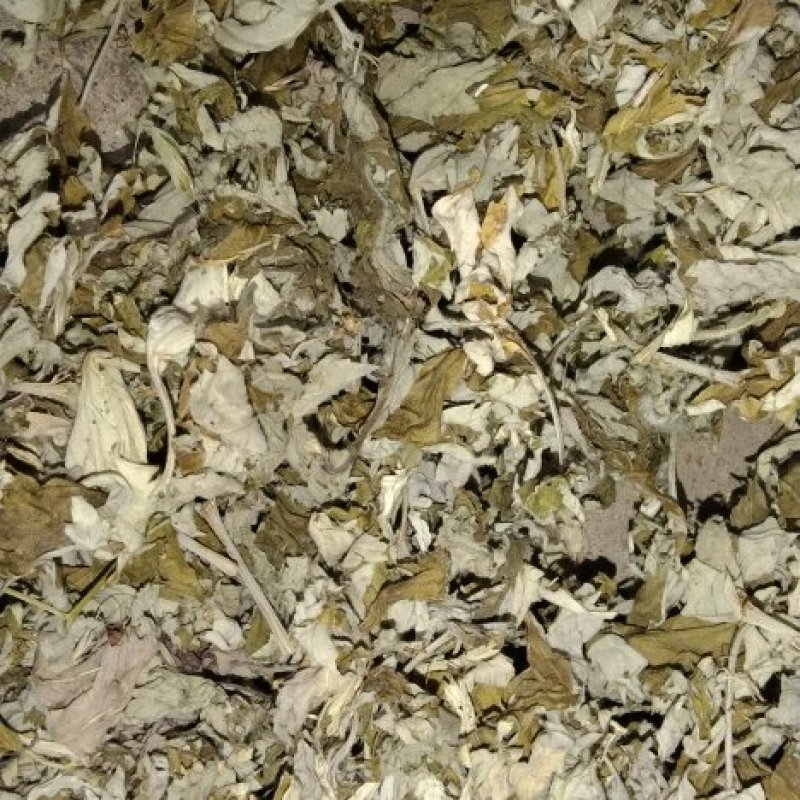 艾叶艾草两年陈艾叶端午艾叶大白野生艾叶两年三年陈艾