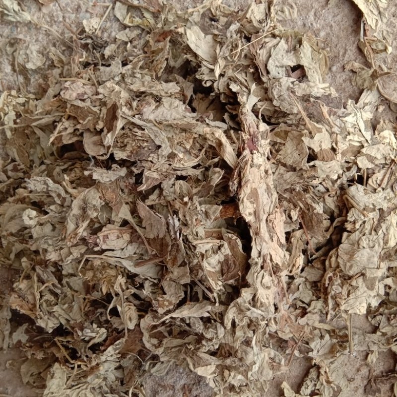艾叶艾草两年陈艾叶端午艾叶大白野生艾叶两年三年陈艾