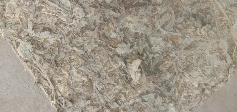 艾叶艾草两年陈艾叶端午艾叶大白野生艾叶两年三年陈艾