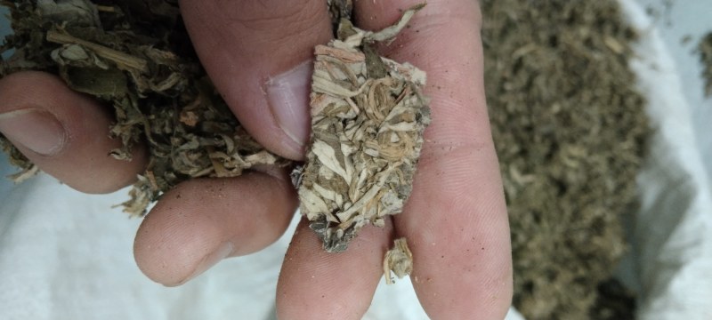 艾叶艾草两年陈艾叶端午艾叶大白野生艾叶两年三年陈艾