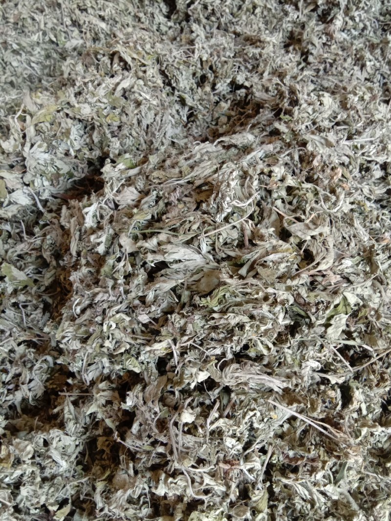 艾叶艾草两年陈艾叶端午艾叶大白野生艾叶两年三年陈艾