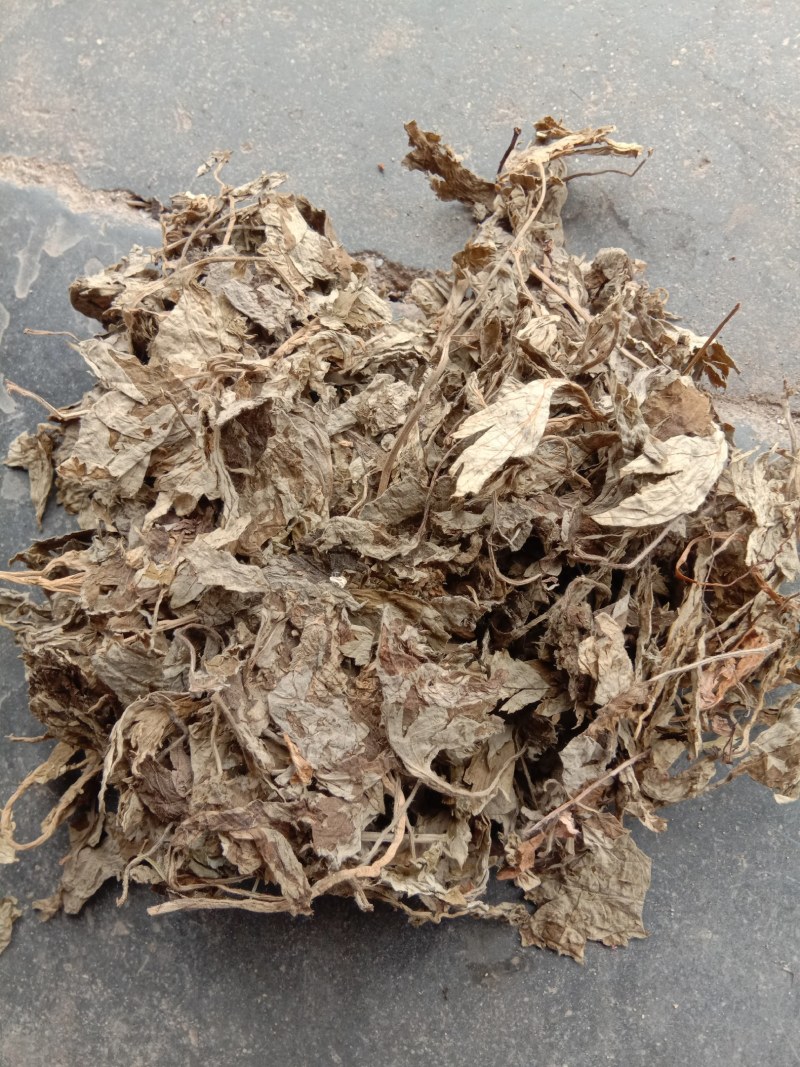 艾叶艾草两年陈艾叶端午艾叶大白野生艾叶两年三年陈艾
