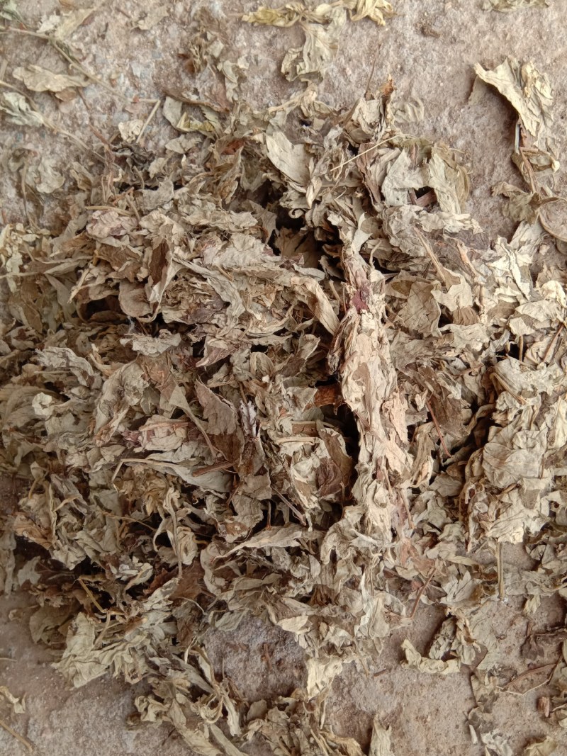 艾叶艾草两年陈艾叶端午艾叶大白野生艾叶两年三年陈艾