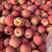 山东冷库红富士苹果大量出库，货源充足，保质保量，全国发货