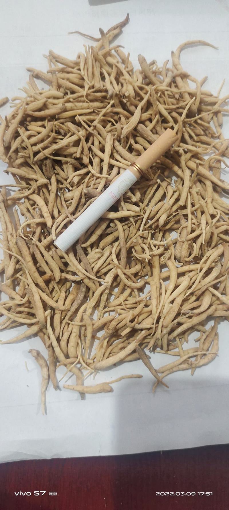 太子参统货