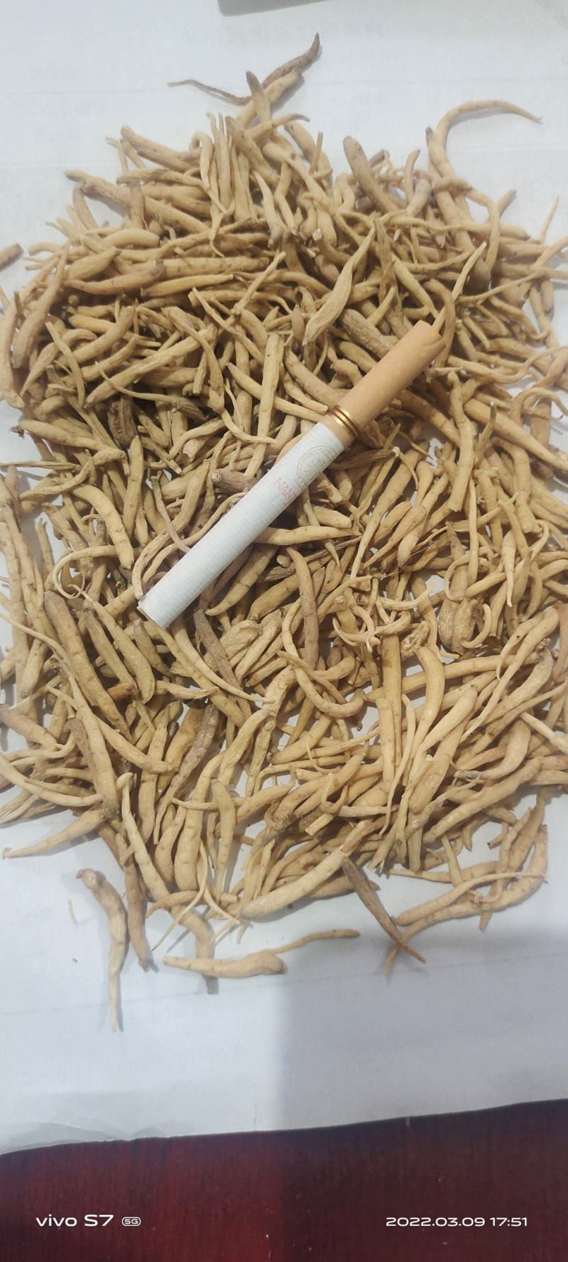 太子参统货