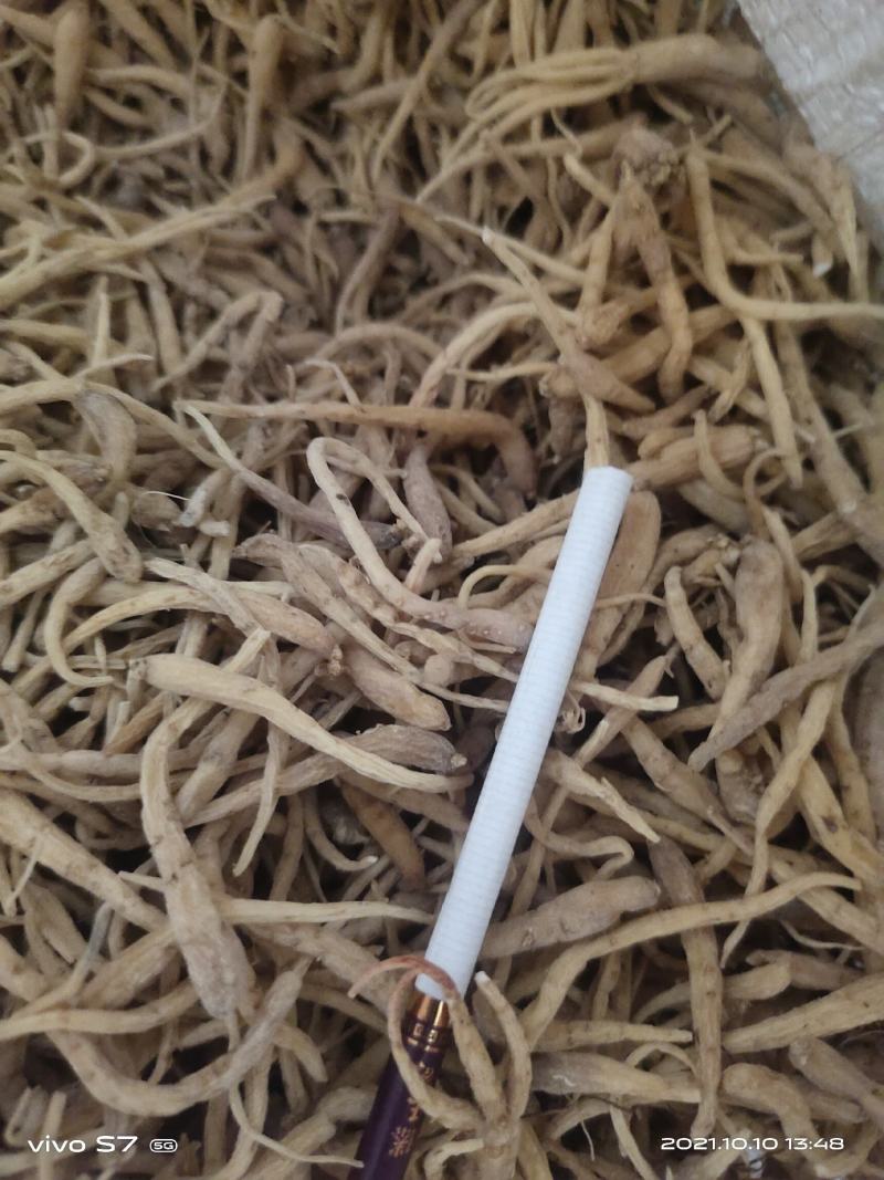 太子参统货