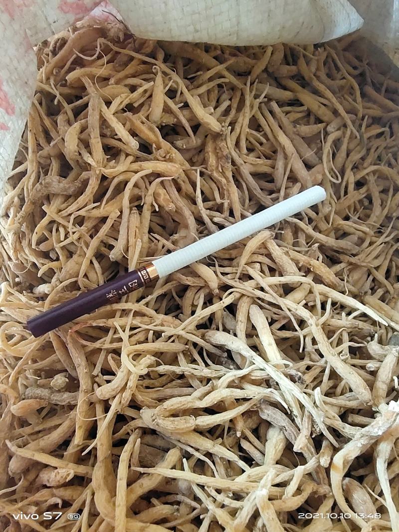 太子参统货