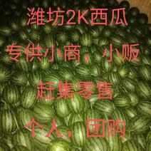 潍坊2k西瓜，冰糖籽西瓜全国代收，现大量上市保证质量