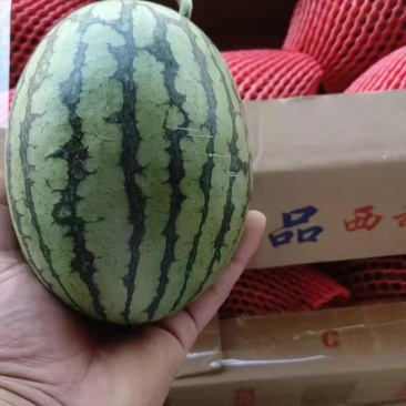 潍坊2k西瓜，冰糖籽西瓜全国代收代发，现大量上市保证质量