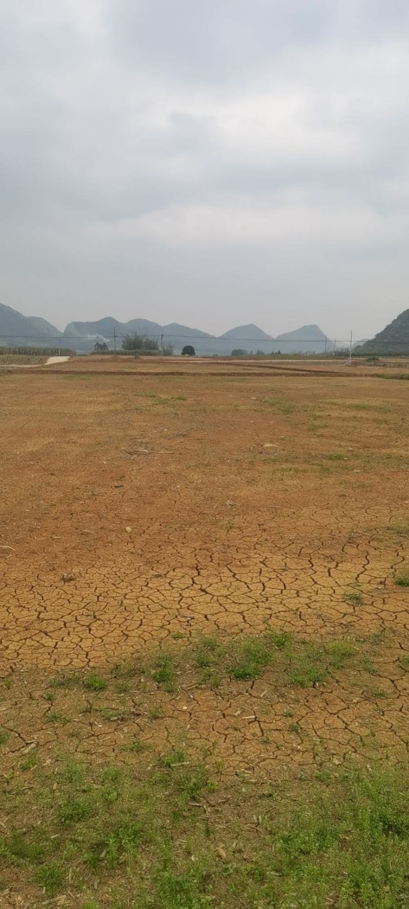 广西崇左土地流转旱地