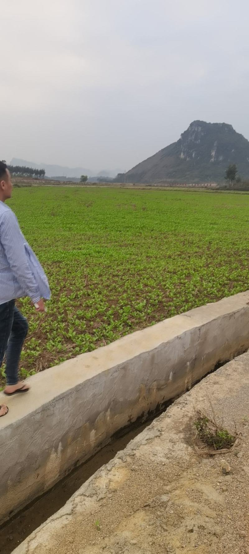 广西崇左土地流转旱地