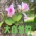 海鲜腊肠